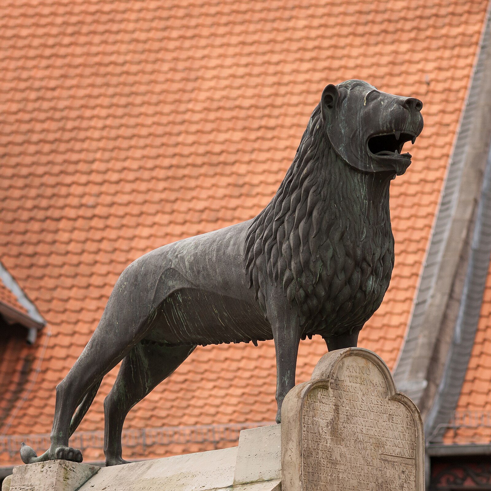 Umzugsunternehmen Braunschweig