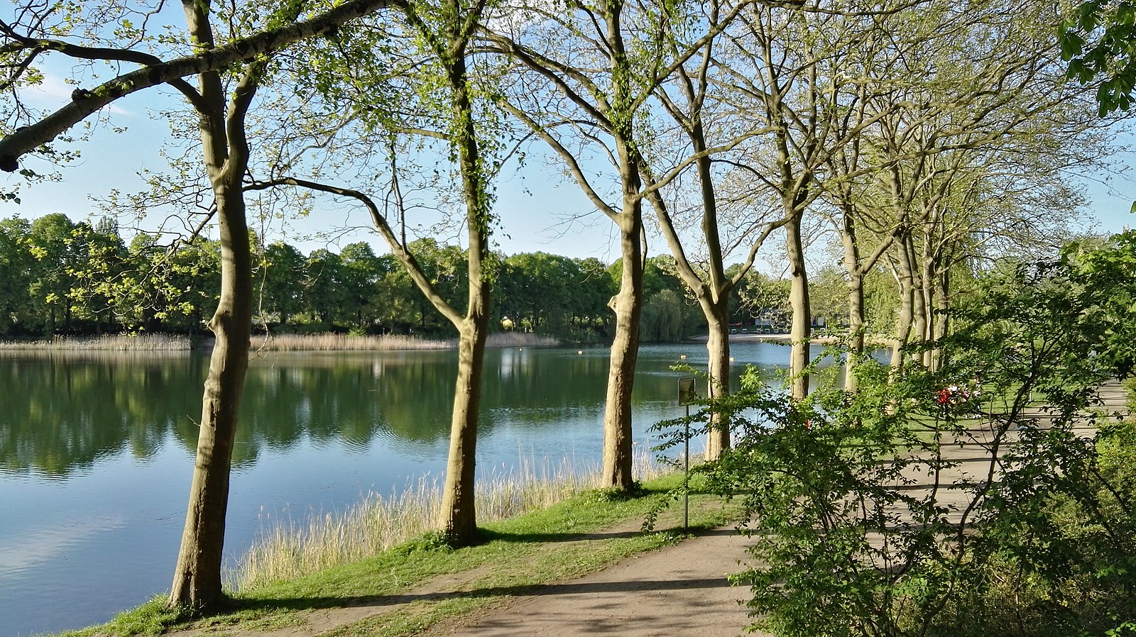 Umzugsunternehmen Berlin Lichtenberg